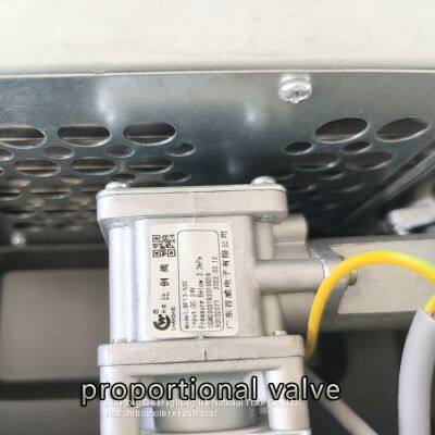 20kw 24kw 28kw 30kw 32kw Wall Hung Heating Wall Mounted Gas Boilers Lpg Tankless Propane Gas Water Heater