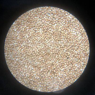 Artemia Cysts,brine Shrimp Eggs