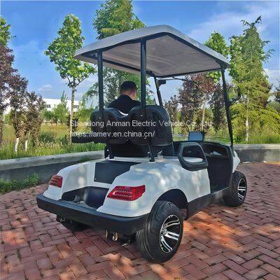 High Quality 2-seater Electric Golf Cart With CE Certificate photo-5