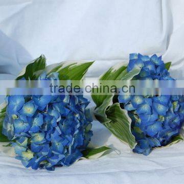 High grade OEM supplier of hydrangeas flower