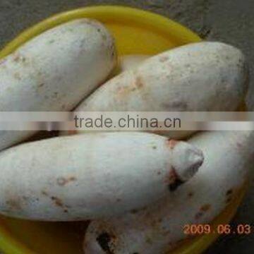 Large Potato Drum Cleaning and Polishing Machine/carrot Washing and Polishing Machine photo-5