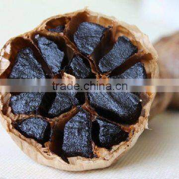 black garlic