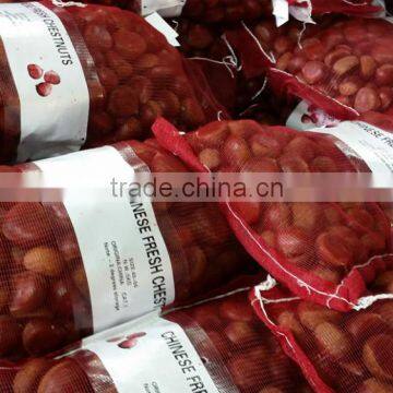 2015 crop Chinese chestnut for export