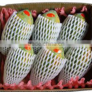 epe foam net packaging