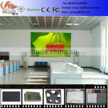 RGX P10 indoor led video display