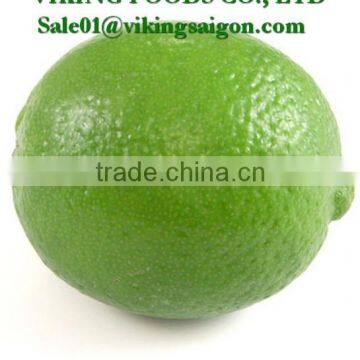 FROZEN SEEDLESS LIME _ HIGHT QUALITY _ GOOD PRICE photo-4