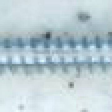 Pan Head Self Tapping Screw White Zinc Plated in Best-selling photo-5