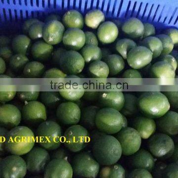 SPECIAL PRICE FOR VIETNAMESE LIME/ GREEN LEMON ON NEW CROP 2106