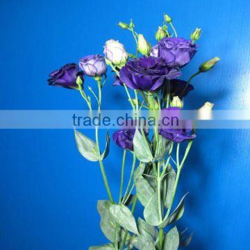 Alibaba cheap price high quality colorful fresh cut flowers eustoma