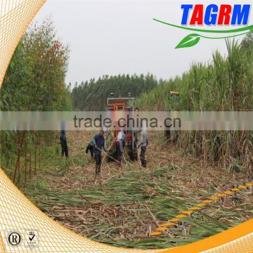 2016 new product Sugarcane Leaf peeling truck with automatic load and unload function/sugarcane leaf removing machine