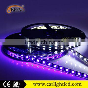 High Quality 12v 5050 RGB Led Strip Light IP20/IP65 Waterproof Flexible 300smd Black pcb Light Strip