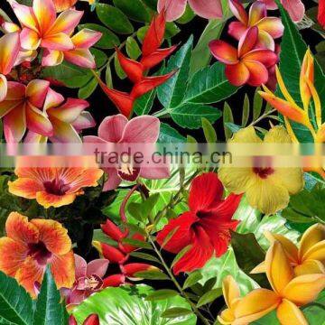 New Decorative Hydrographic Transfer Printing Film photo-4