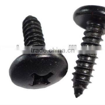 Cross recessed pan head self tapping screw with black color