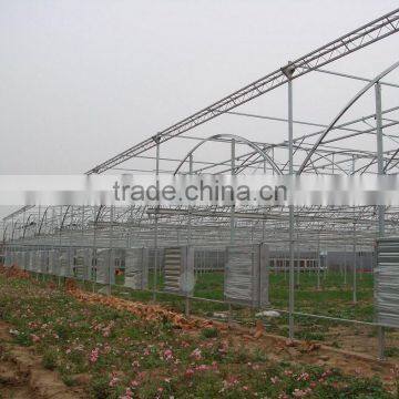 Plastic Film Greenhouse