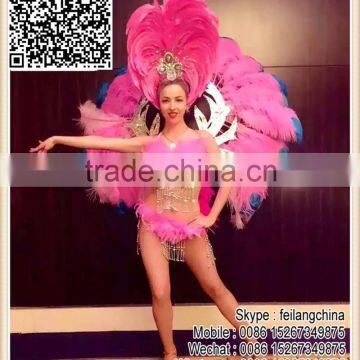 Direct Hot Pink Bra Showgirl Carnival Dress Up Samba Dance Costume