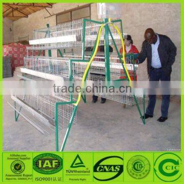 high quality chicken cage for poultry farm for nigeria