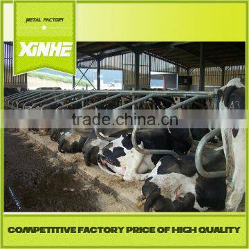 Grade one factory Hot-dip Galvanized Steel Pipe Cattle Lying Bar