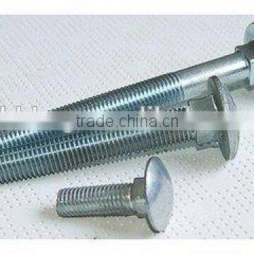 grade 4.8 to 8.8 carriage bolt china manufacturer