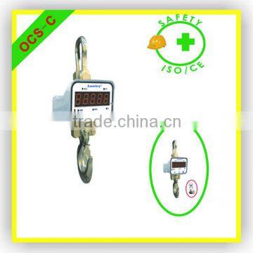 Hanging Salter Weighing Scale/Electronic Scale