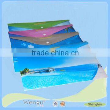 Newly Cardboard Plastic Press Button File Folder/plastic a4 pp Wallet File Folder