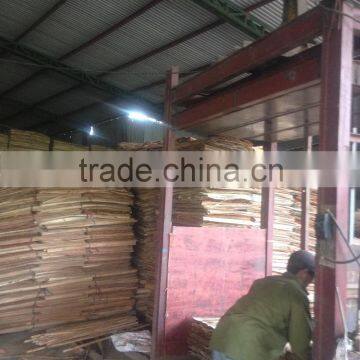 Core Veneer Full Size