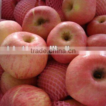 Fuji Apple of Apple Varieties