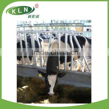 KLN Hot-dip Galvanized Cattle Head - lock