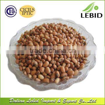 High quality new crop pink cowpea