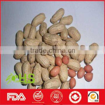 Red skin peanut kernels/Blanched peanut for sale