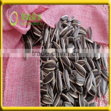 natural style dried type and fresh style sunflower seeds