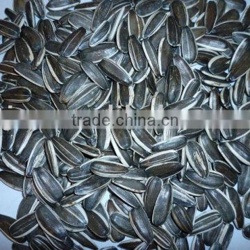 Chinese good quality sunflower seeds 20/64,22/64,24/64