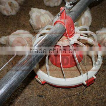 Automatic Chicken Farming Feeding Equipment| System