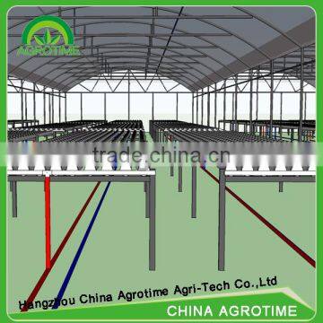 High Benefit Agriculture Hydroponic Green House for Lettuce for Sale photo-3