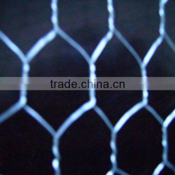 chick mesh/anping supplier