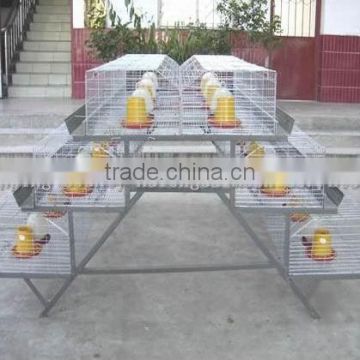 Chicken Cages mesh