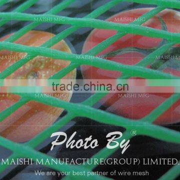 Plastic Diamond Mesh photo-4