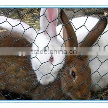 PVC Coated Hexagonal Wire Mesh/Plastic Coated Hexagonal Wire Mesh Made in China photo-2