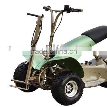 1000W ELECTRIC GOLF CART SX-E0906-6A