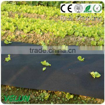 Non-woven Fabric Agriculture Non Woven Geotextile Fabric photo-3