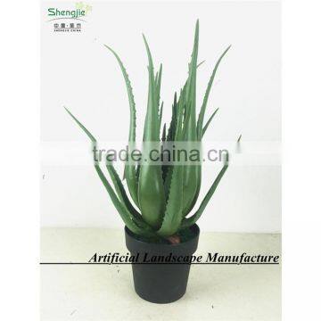 SAS201607 Artificial Green Plant for Indoor Decoration photo-5
