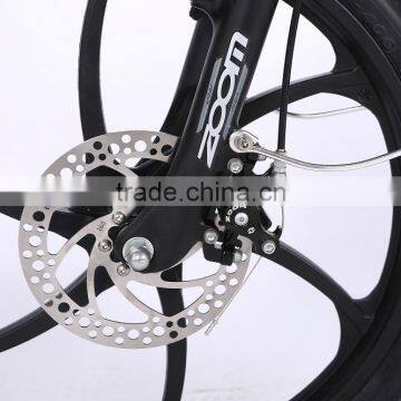 New Design 20 Inch Folding Electric Bike One-piece Wheel Electric Bike photo-5