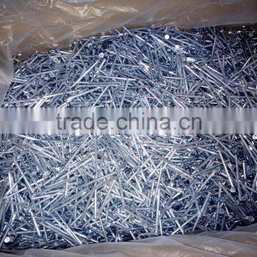 Galvanized Smooth Concrete Nail photo-4