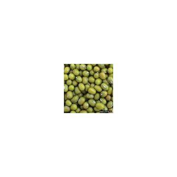 Sell Green Mung Bean