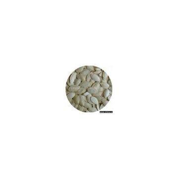 Sell Shine-Skin Pumpkin Seeds