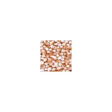 Cowpeas