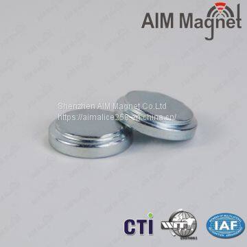 Segment Magnet Neodymium Customized Magnet for Motor photo-2