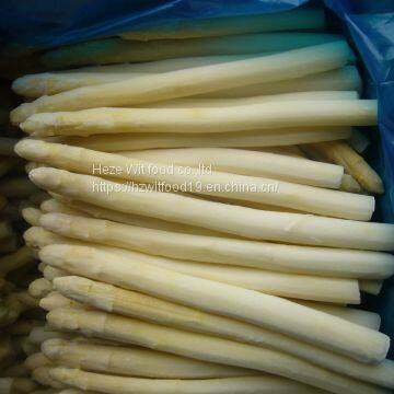 Frozen White Asparagus Cuts and Tips photo-3