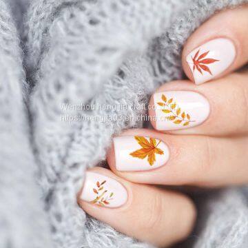 Autumn Autumn Nail Art Applique 3 d Nail Self-adhesive Paper ms Maple Leaf Sunflower Squirrel is Suitable for the Girl Child to Get Pumpkins DIY Design Nail Nails on Thanksgiving Day photo-4