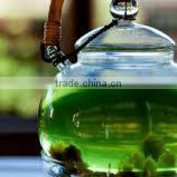 High quality Green tea for Bulk Export