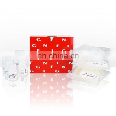 New Type Manual Medical Equipment Nucleic Acid Kits Extraction Without Proteinase K